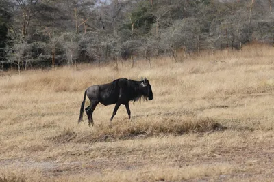 DSC_3412 (Large).JPG